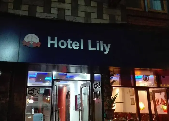 Hotel Lily